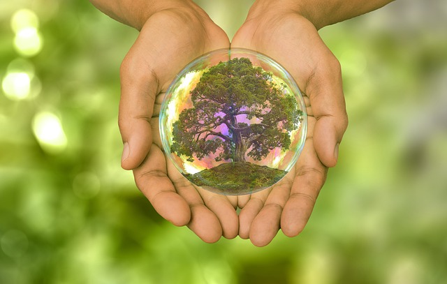 Il 40% dei dipendenti sceglie il proprio datore di lavoro in base a quelli che sono i valori e gli obiettivi aziendali