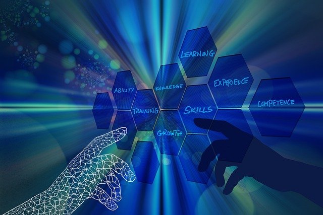 2023: Anno europeo delle competenze verdi e digitali